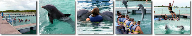 Dolphinarium in Cayo Guillermo, Cuba